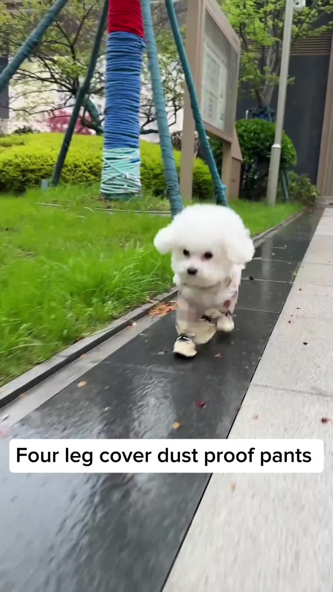 @Pet products