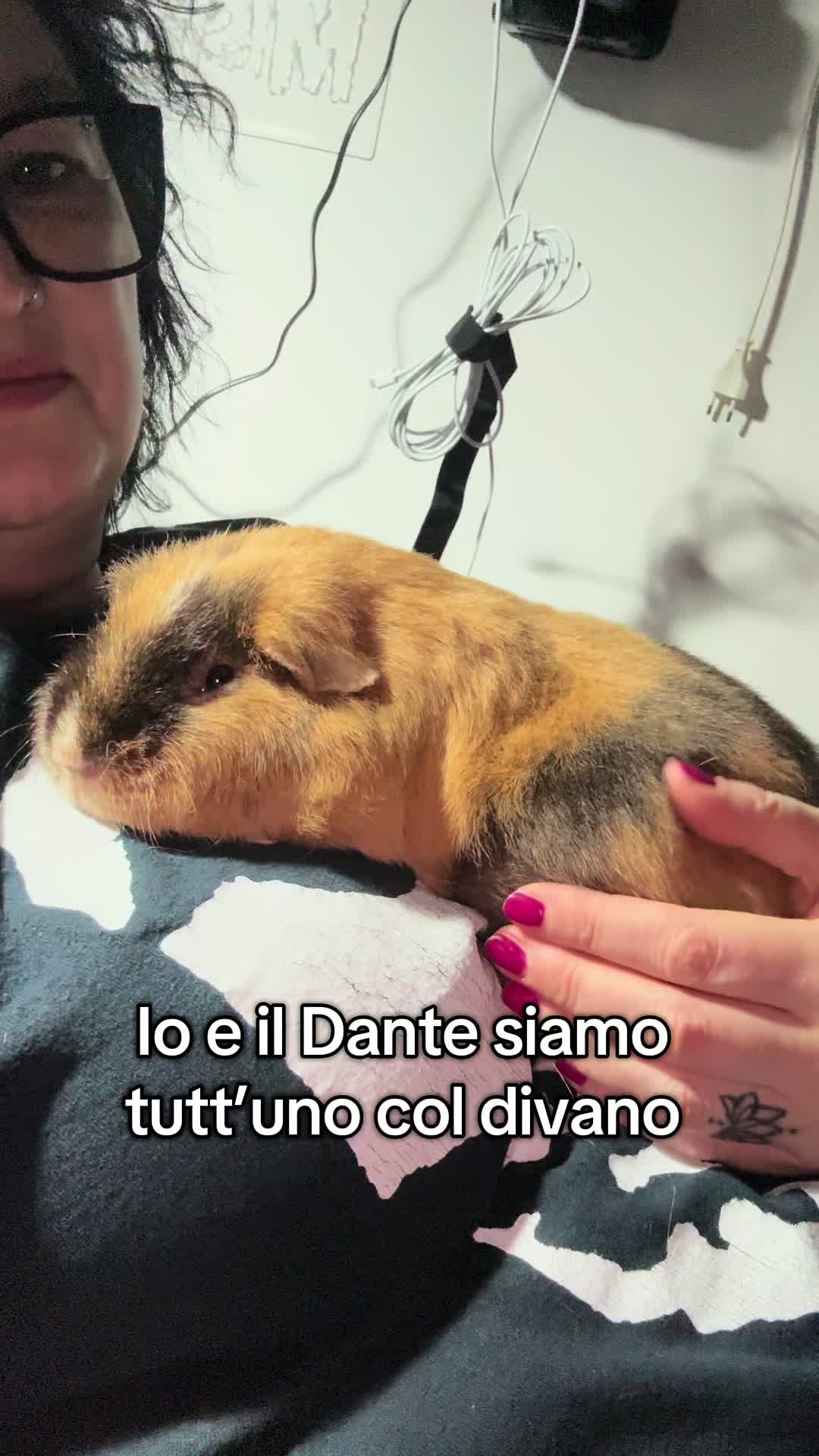 @La Rattara