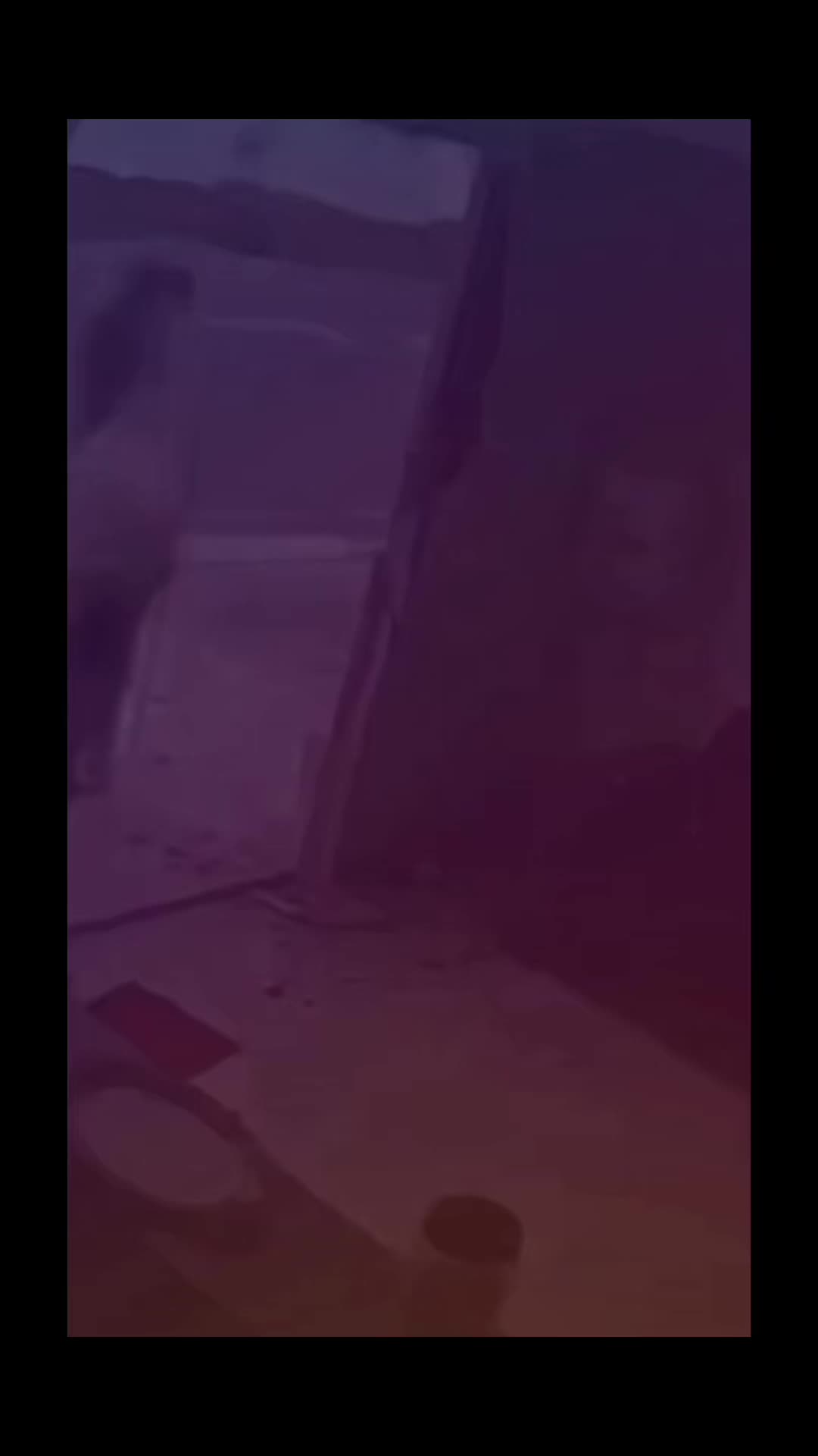 @voxku