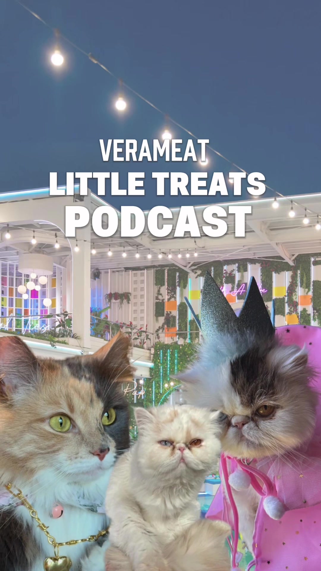 @VeraMeat