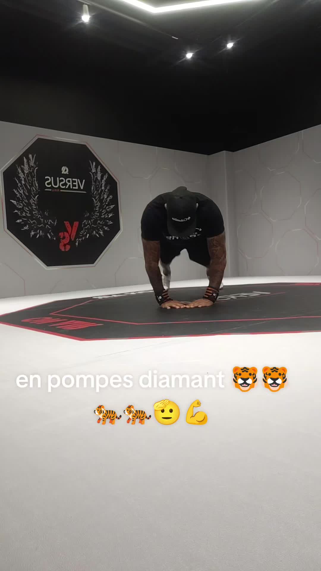 @TIGER