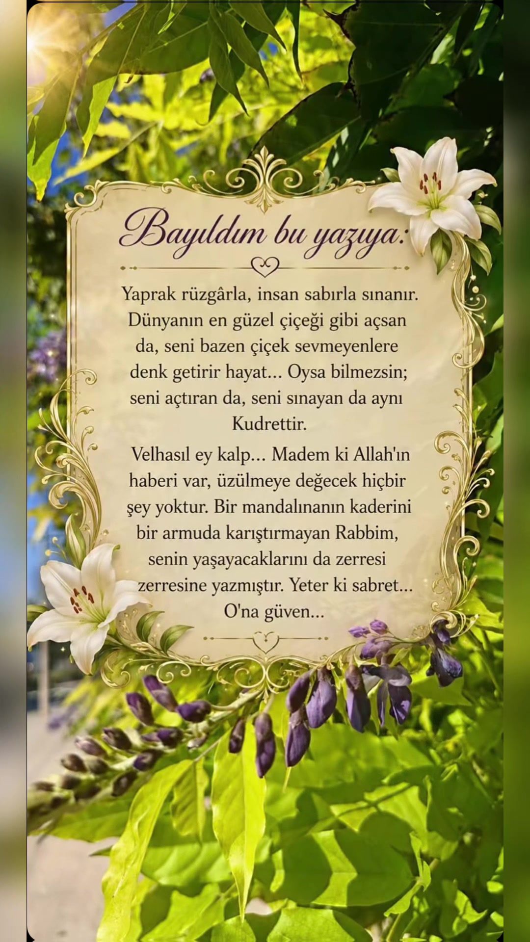 @Merel&ensp;H&uuml;seyinova🎀