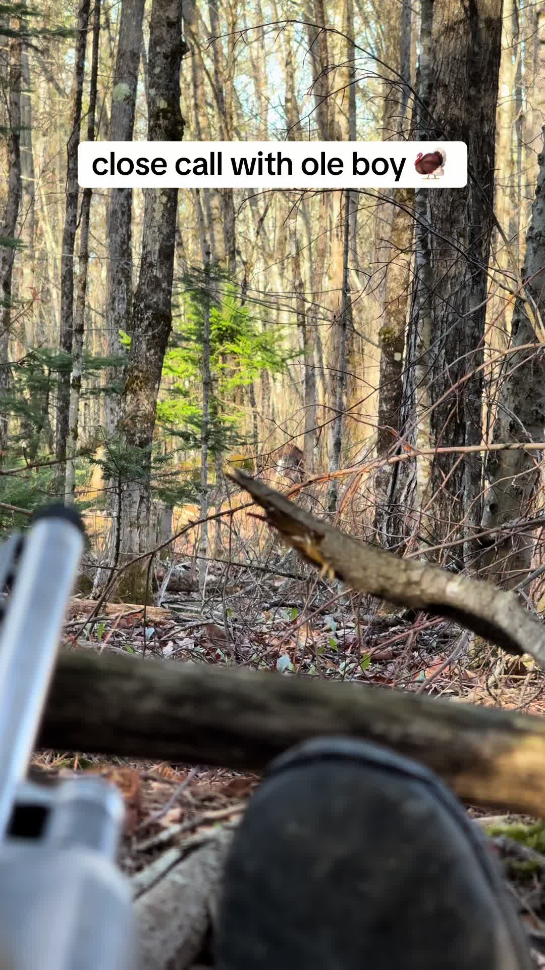 @Pine State Pursuit