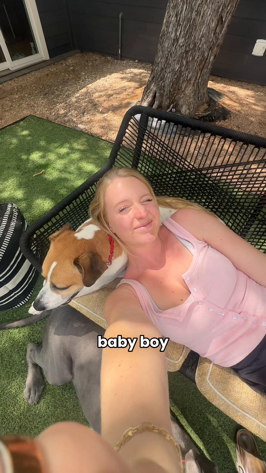 @Taylor + 4 dogs ๐ฉ๐ผ๐ถ๐ถ๐ถ๐ถ
