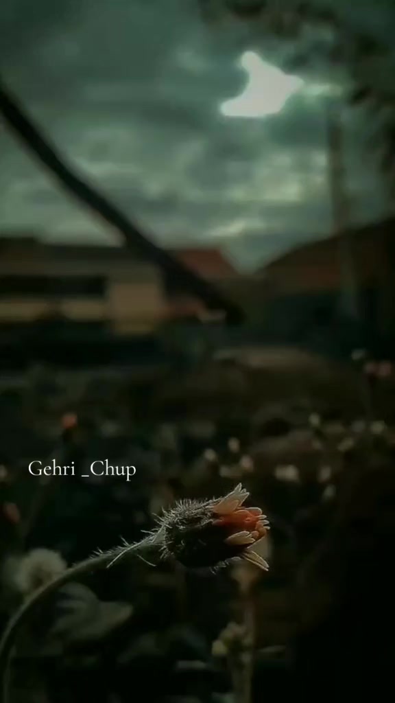 @[💔GEHRI💔CHUP🤫]