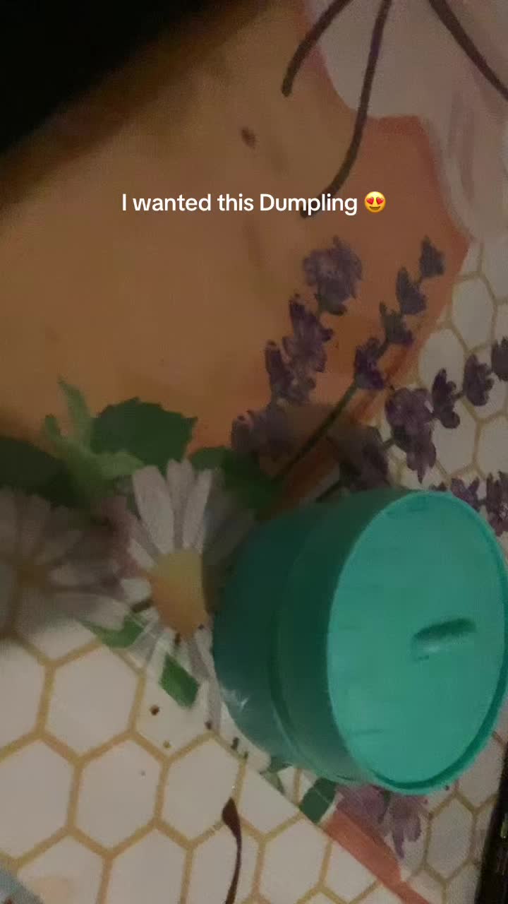 @Kateye