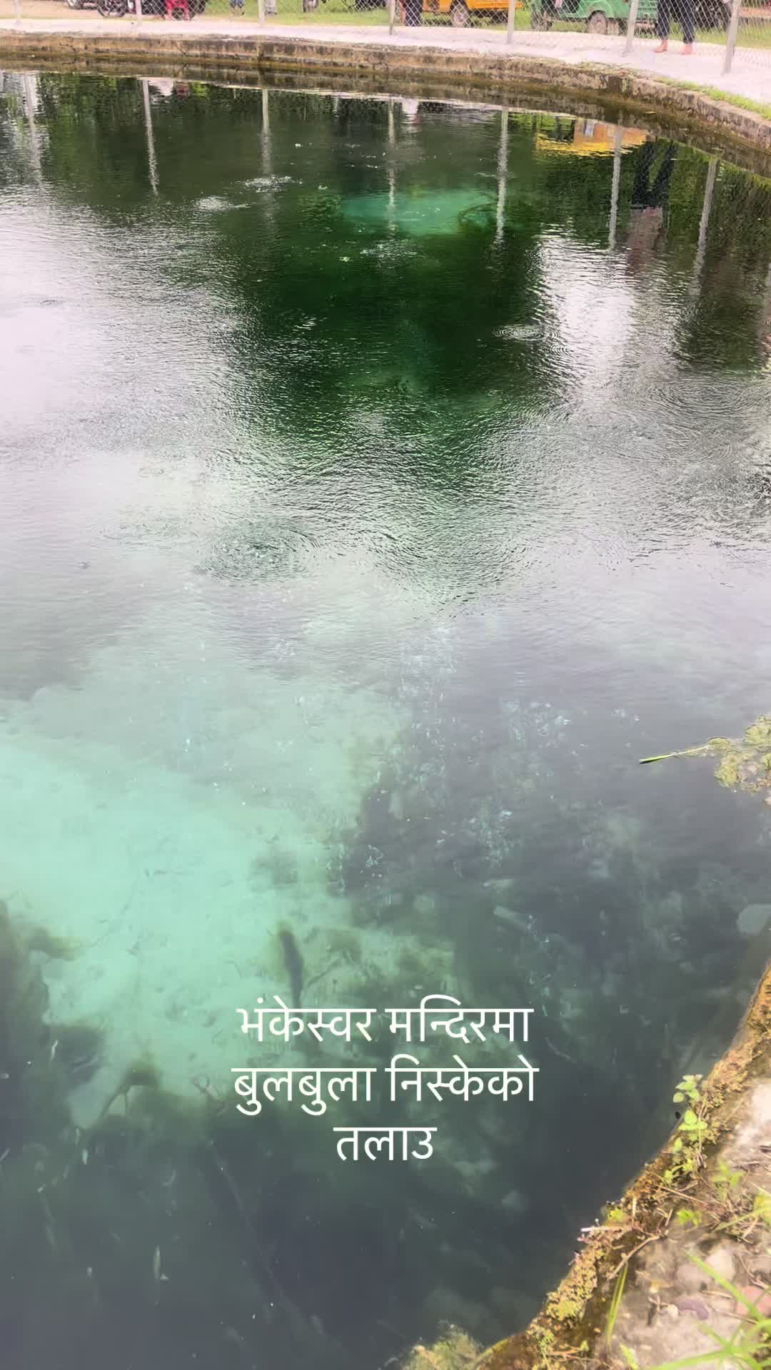 @purushottamlaxmia