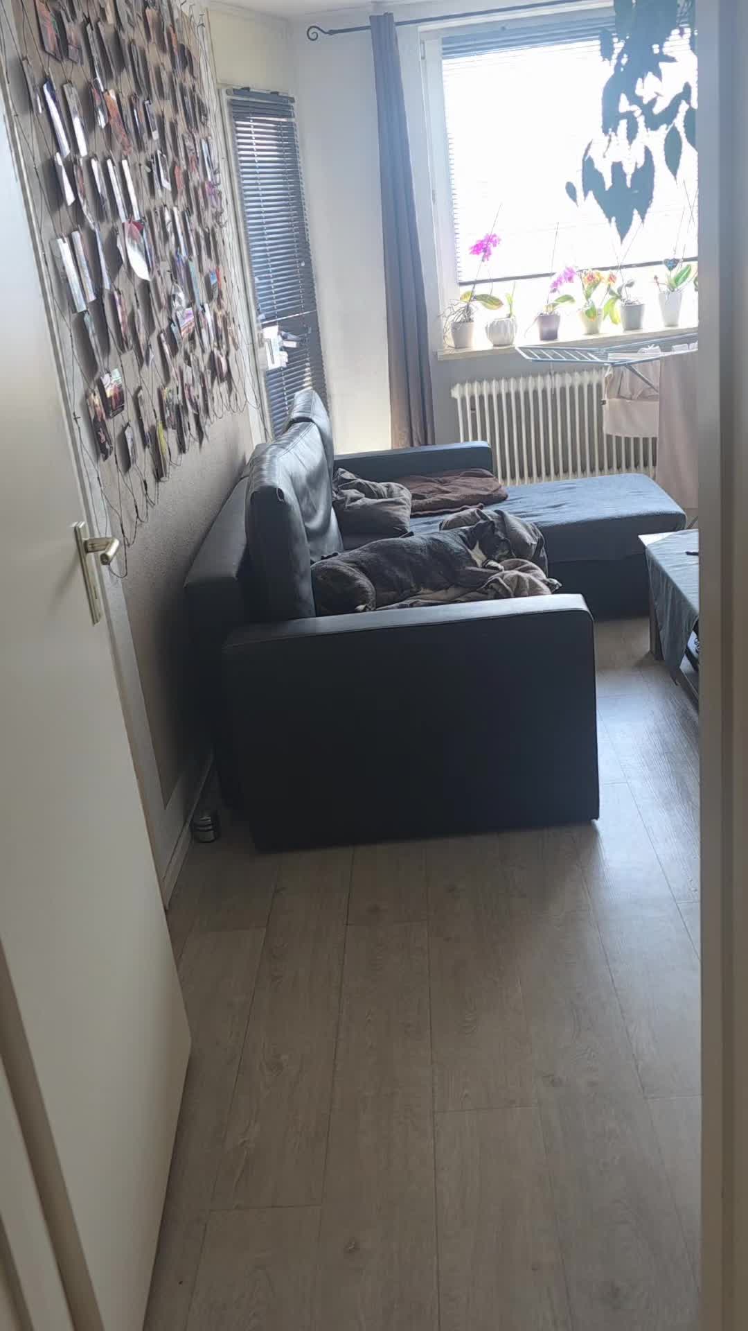 @Franzi Neu