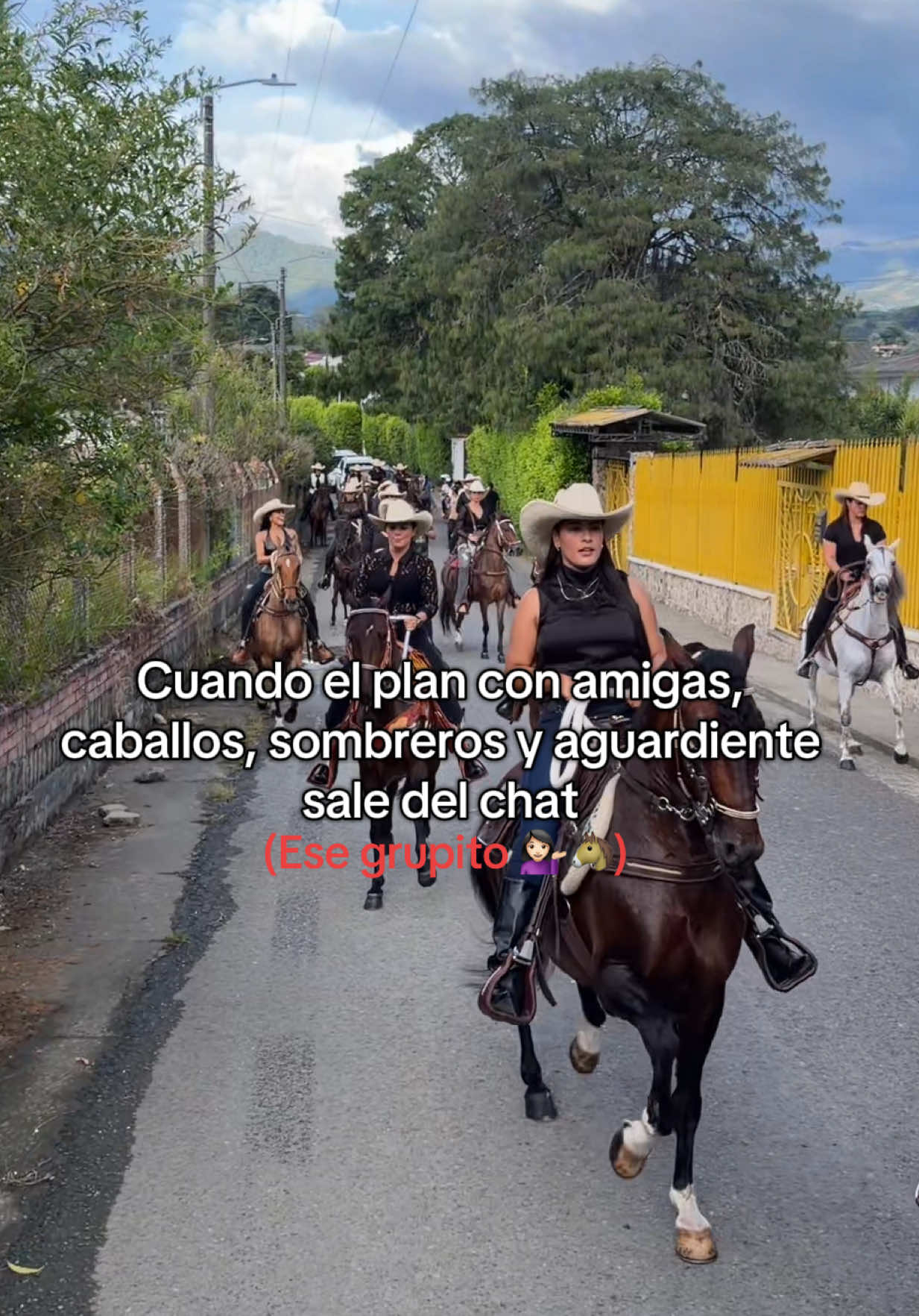 @Laura Daniela