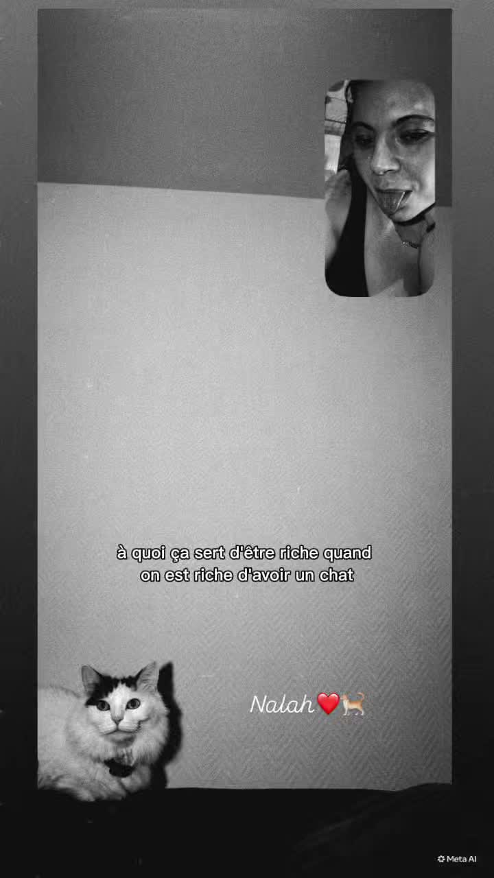 @๐ 07.03.26 ๐ ๐ฆข๐