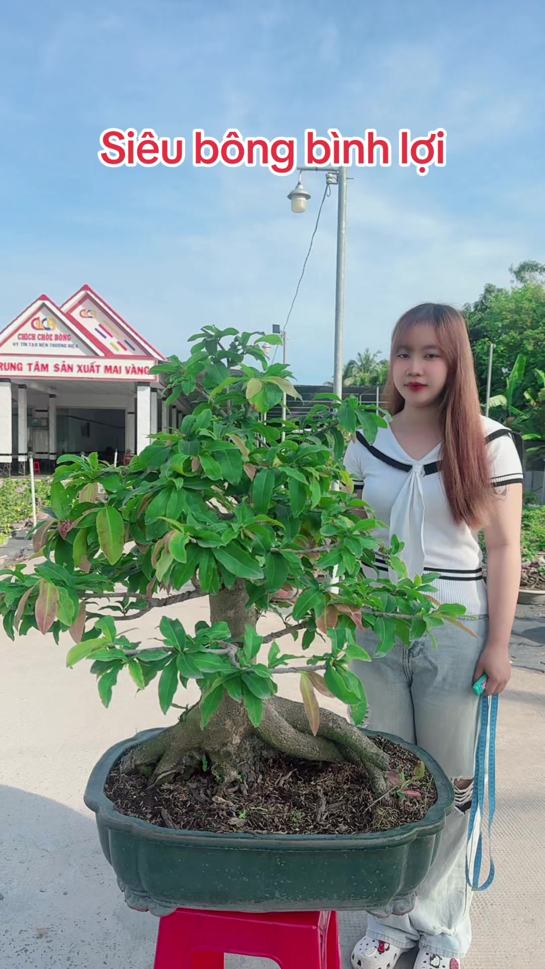 @Chichchoebong79