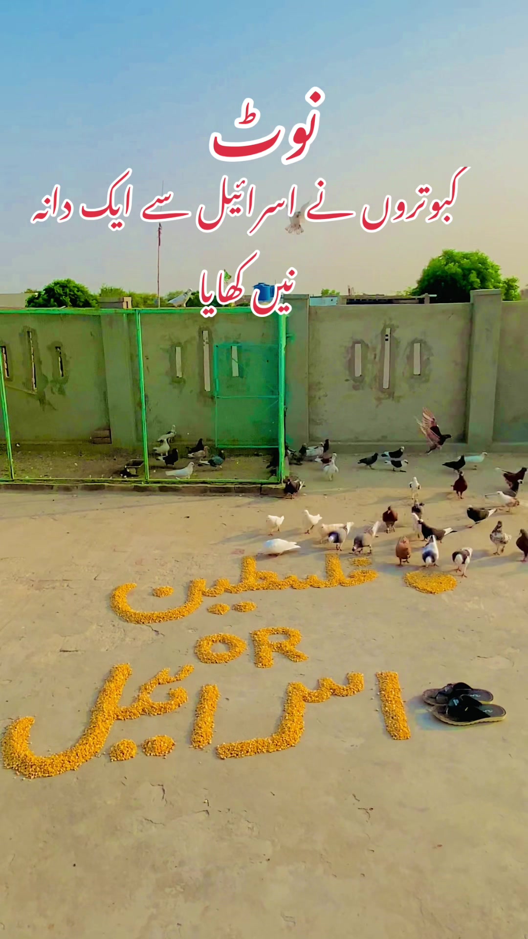 @Shahroz