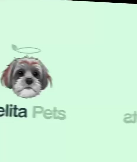 @BelitaPets