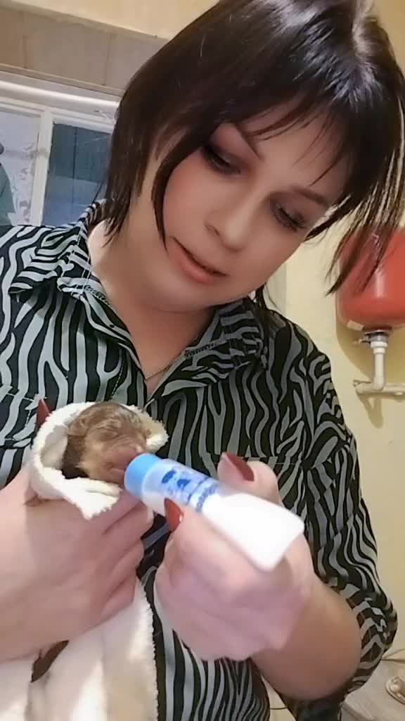 @Елена Белецкая