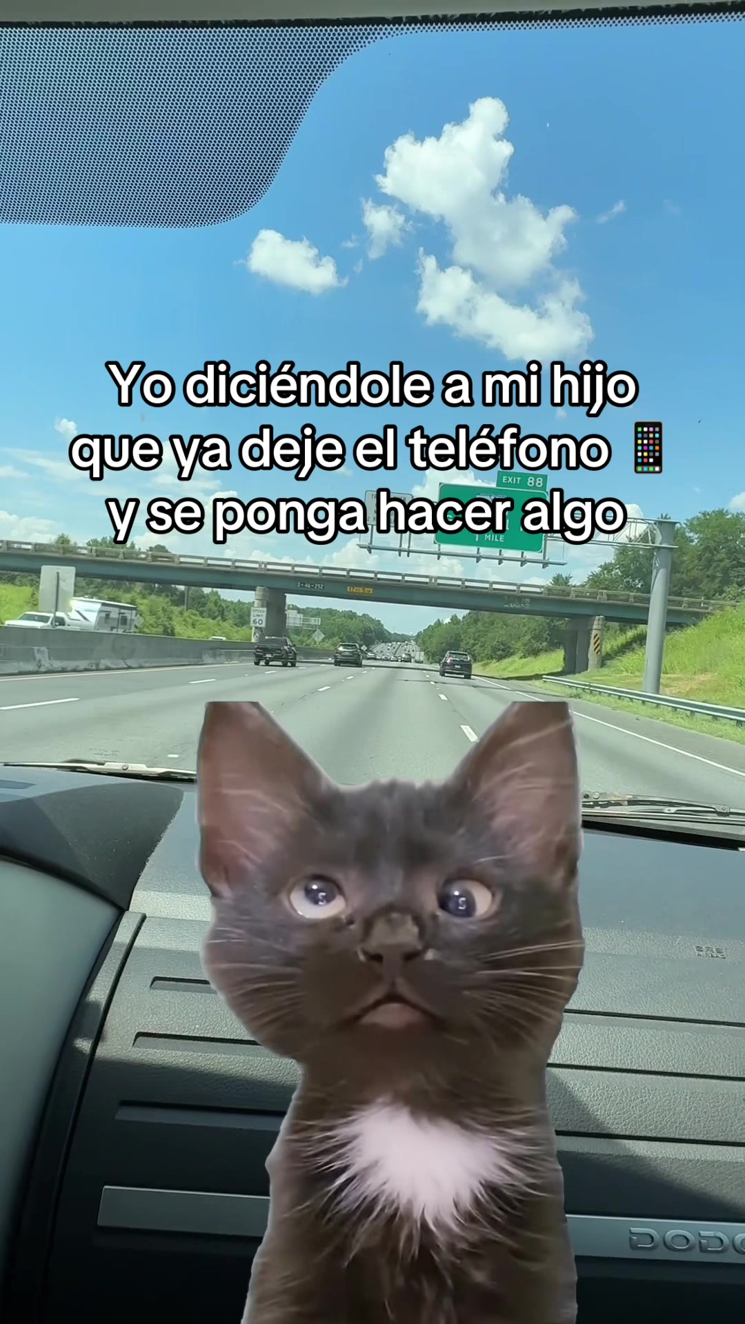 @Carmen🇭🇳🇺🇸