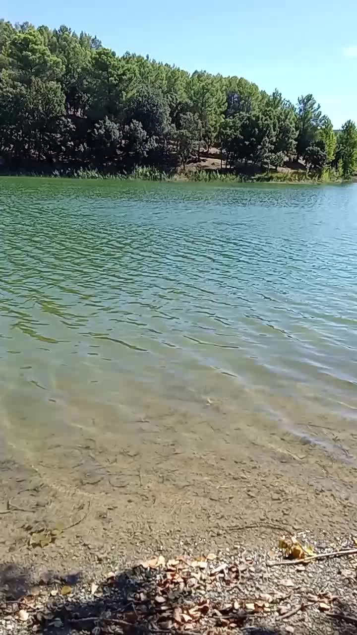 @jasmin Mirage