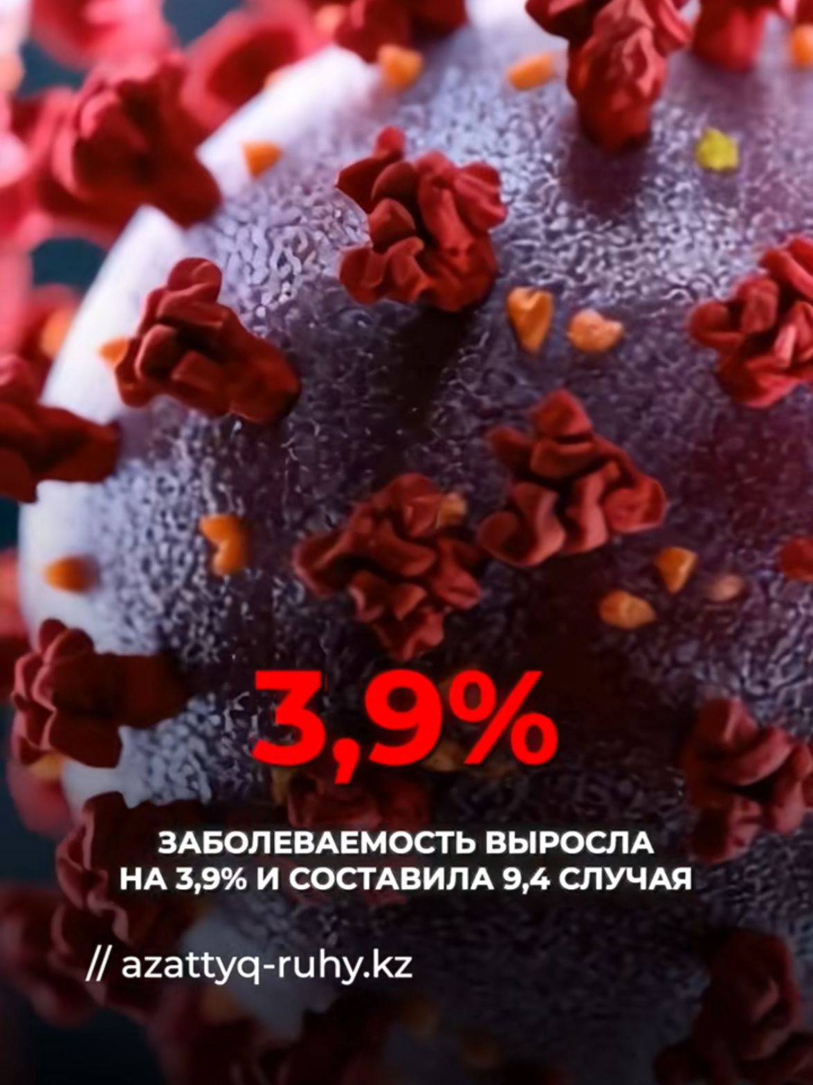 @AFERISTKA V ZAKONE