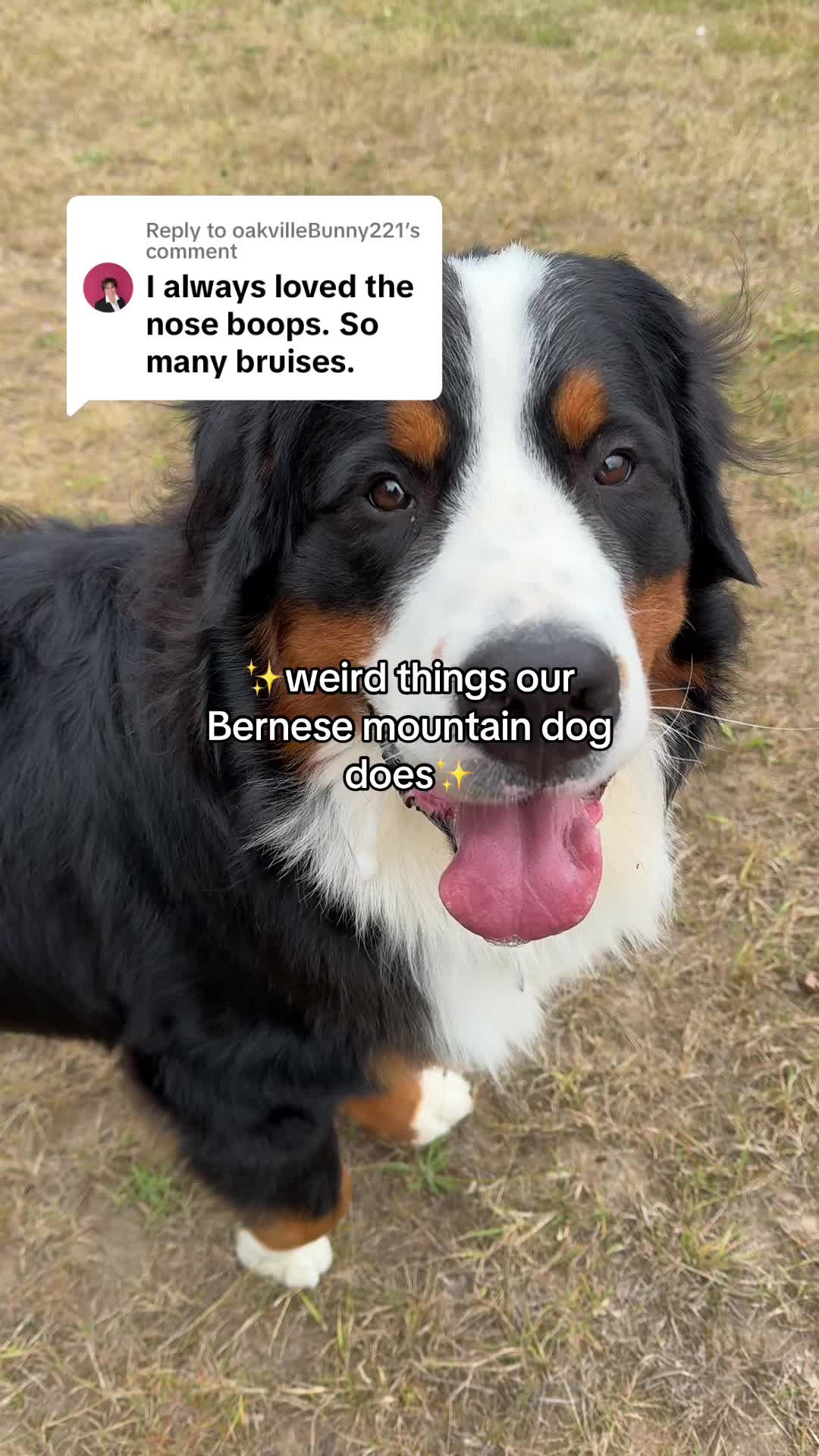 @GorgeousGeorge