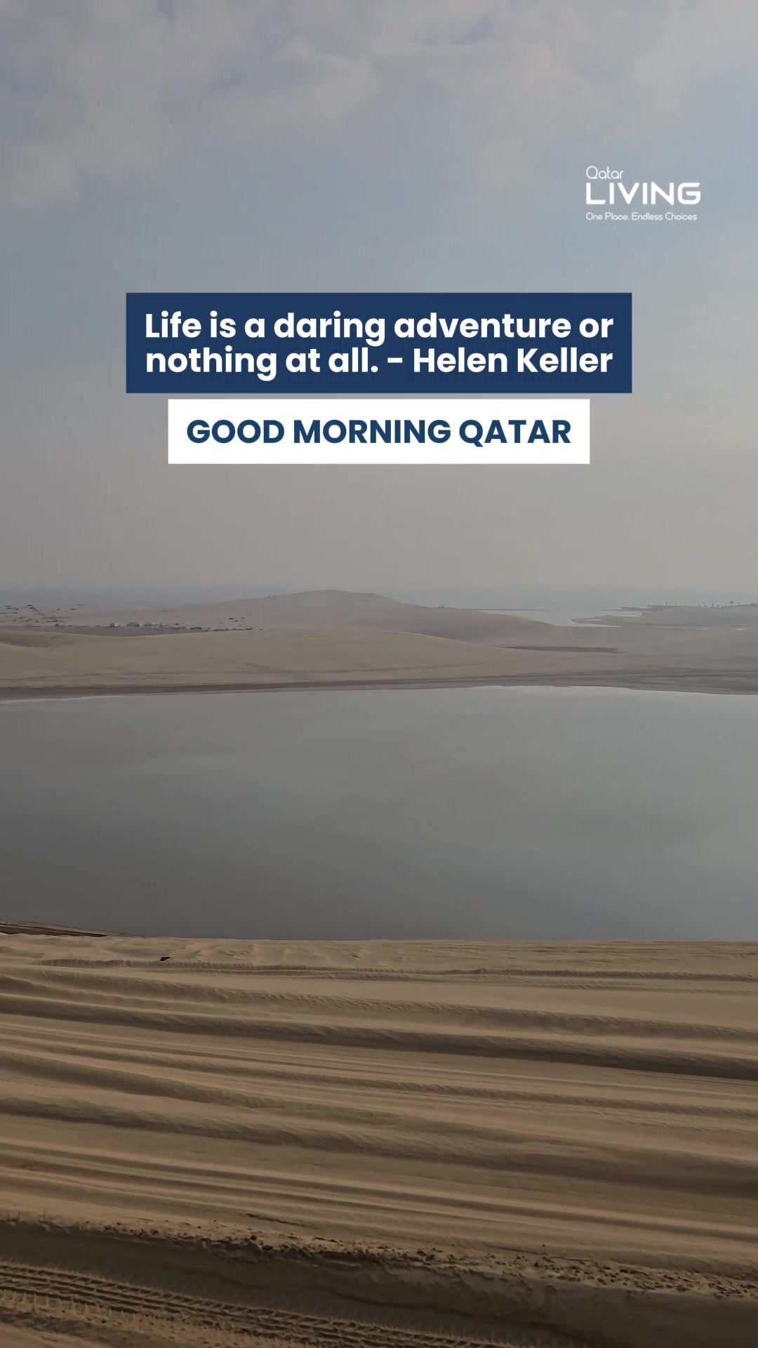 @Qatar Living