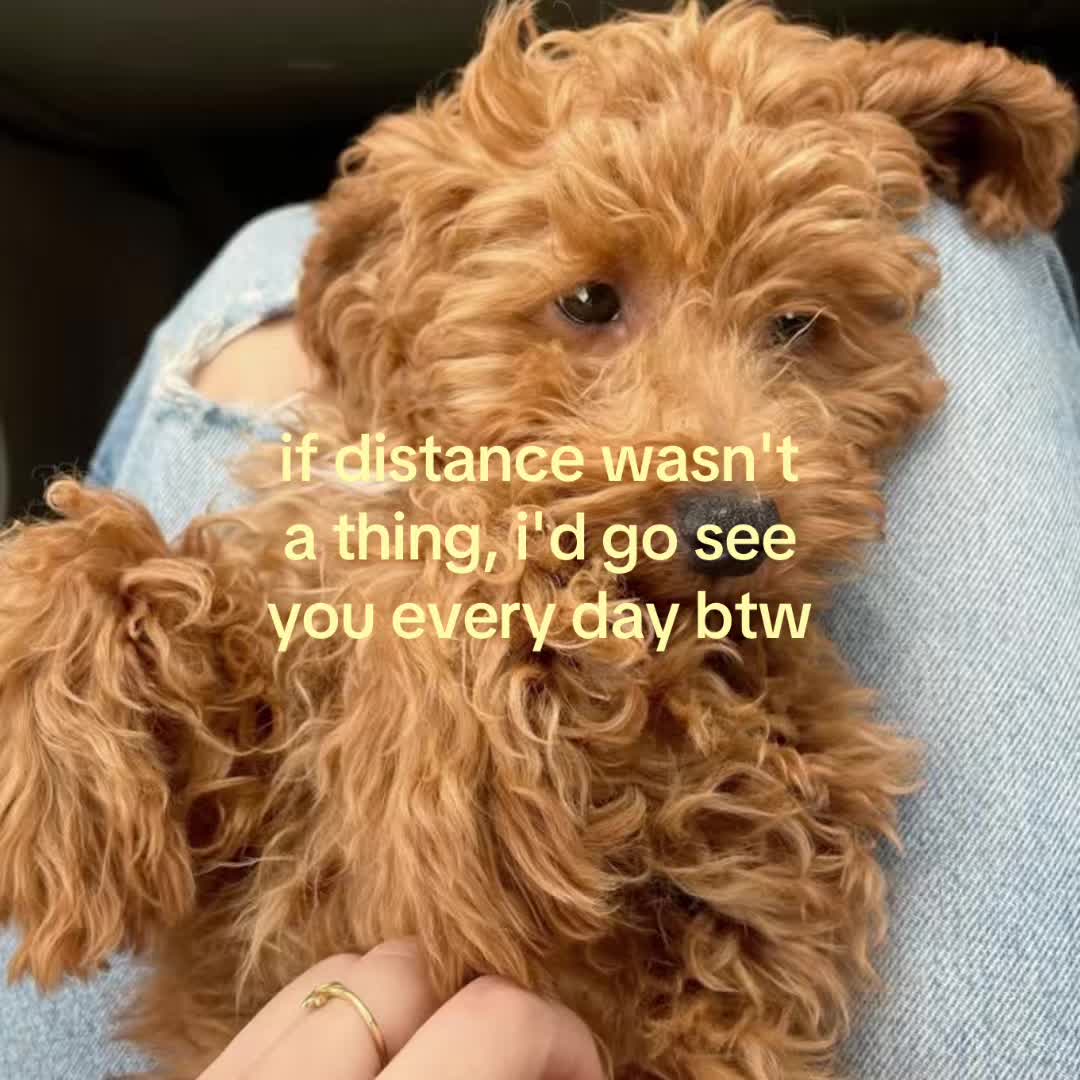 @thisbelovedlife