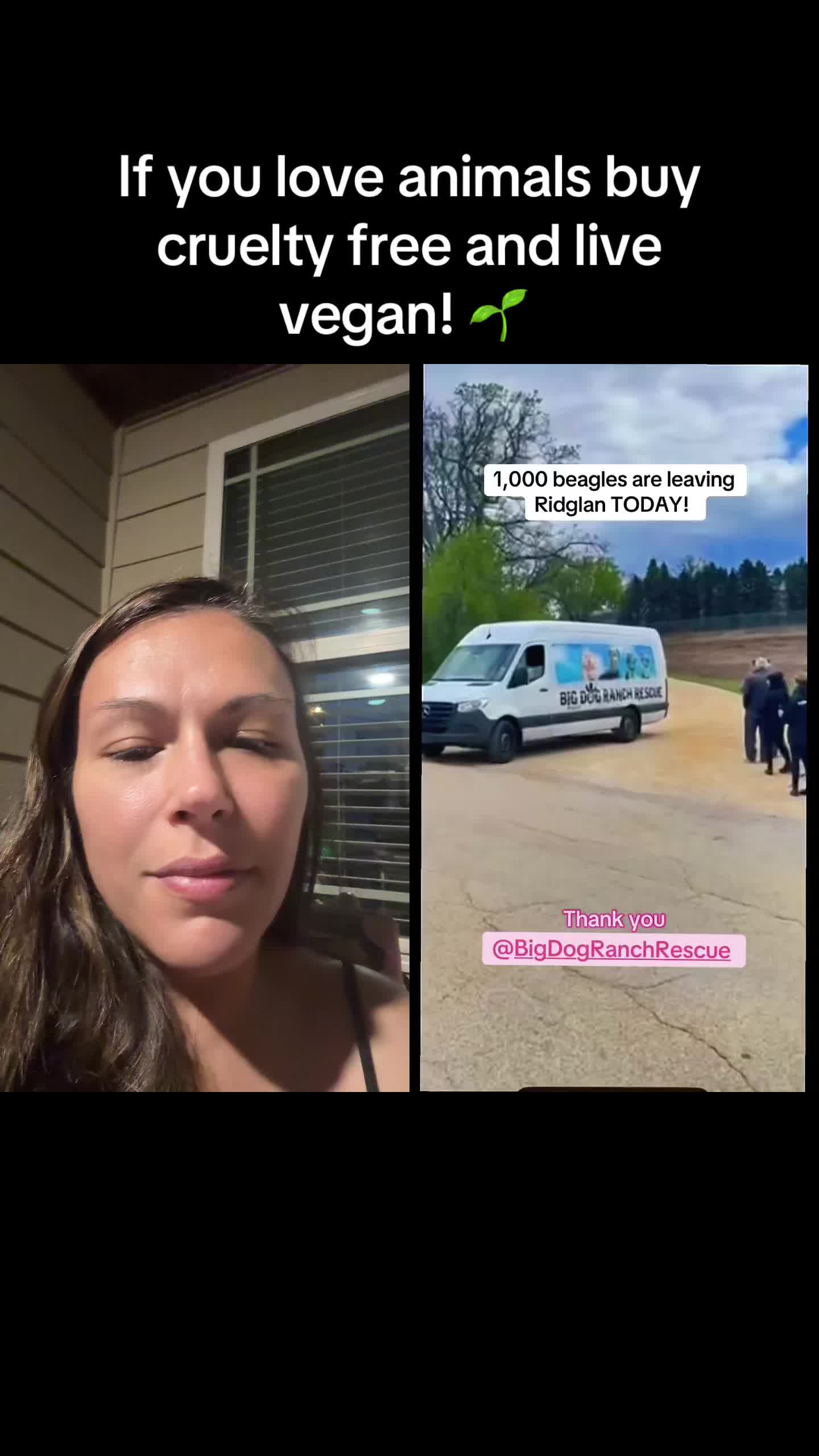 @Vegan Jen 🌱