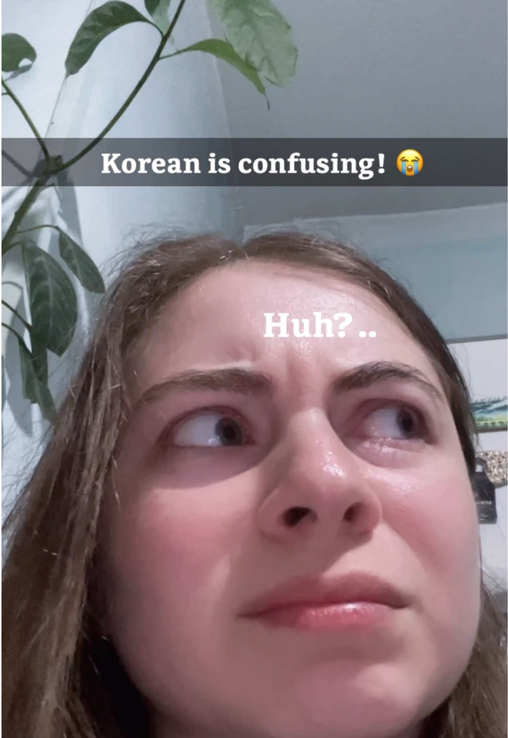 @Hangulbear