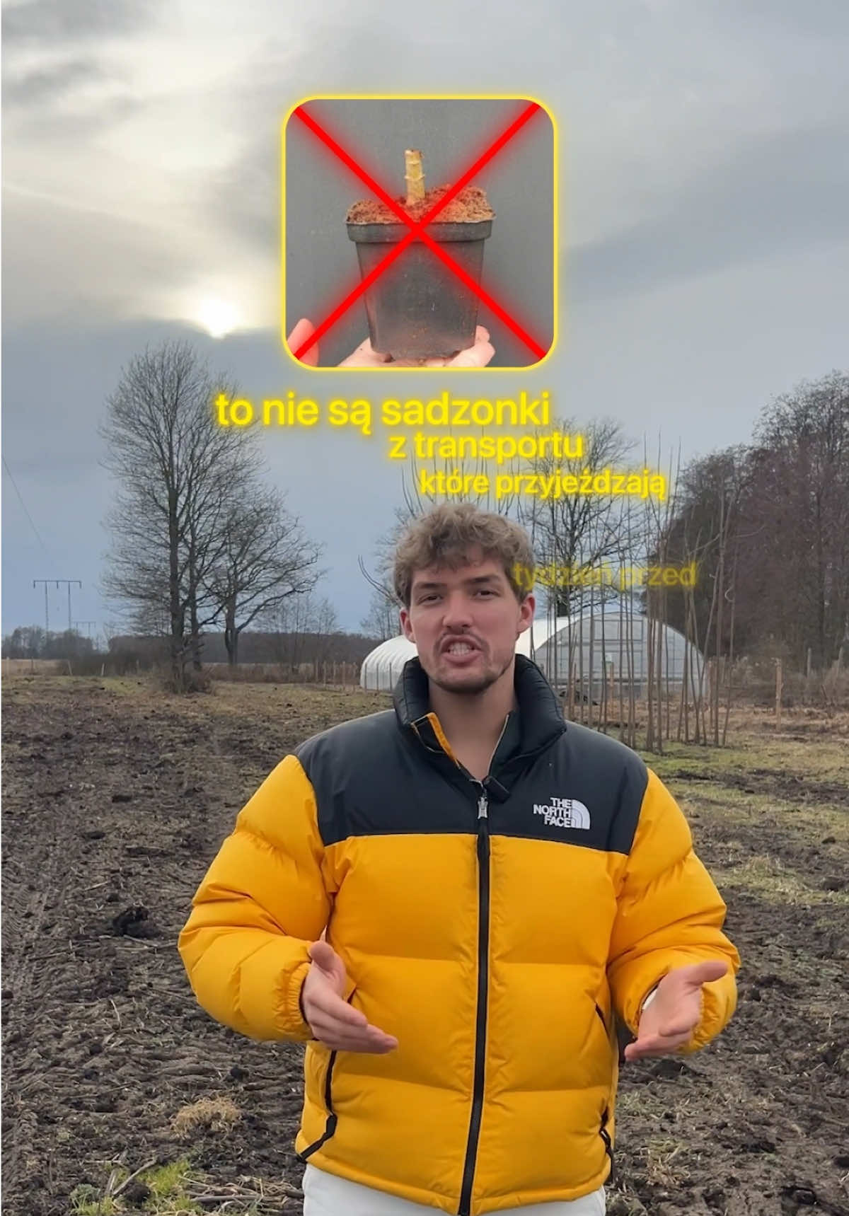 @greenlungspoland