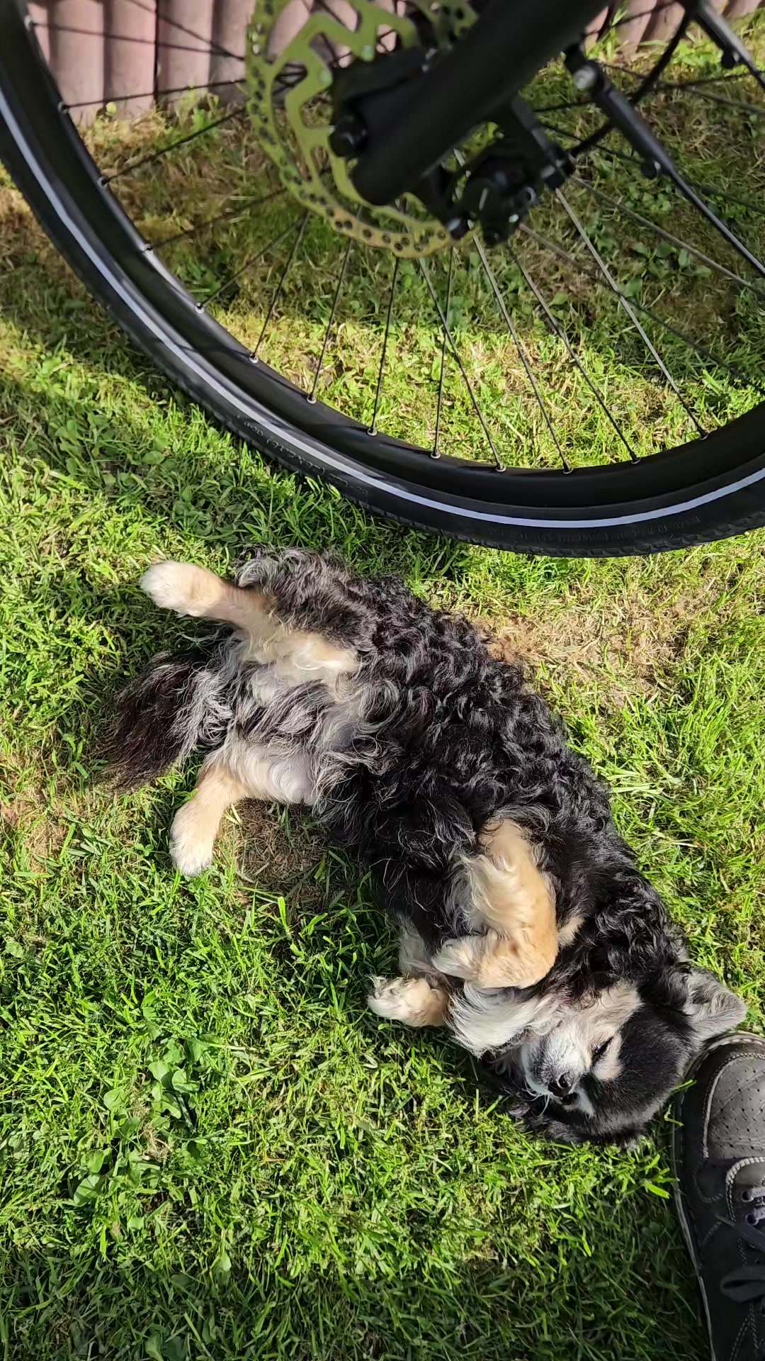 @𝗠𝗮𝗿𝗰𝗶𝗻 𝗗𝗮𝗶𝗹𝘆 🇩🇪