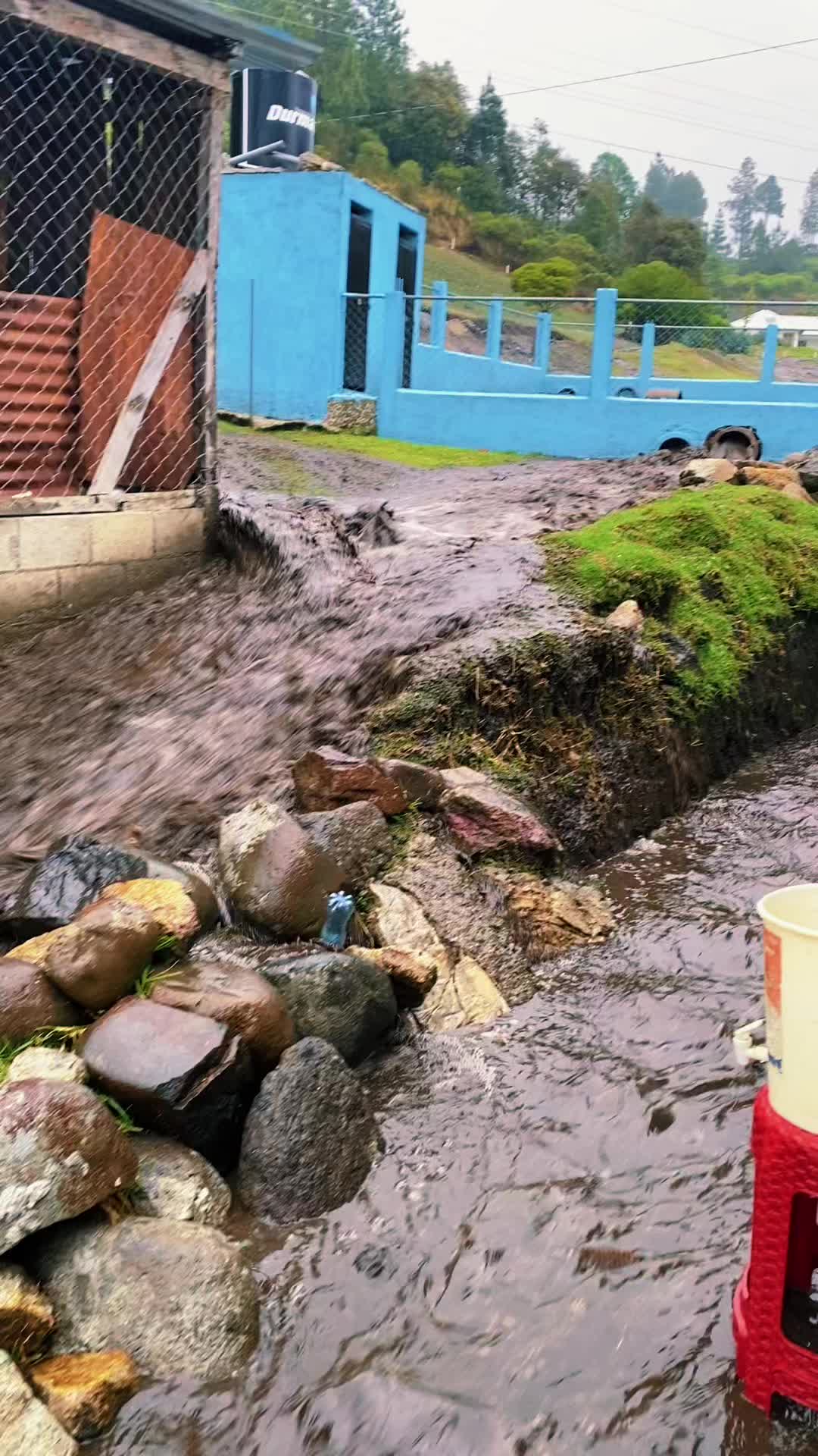 @☘️PÈREZ🇬🇹🎭