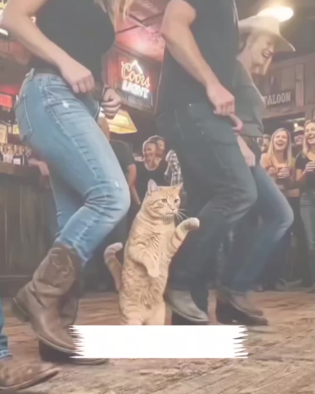@My funny video