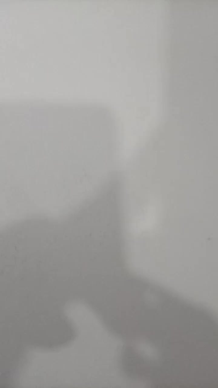 @LΞXTRIAN