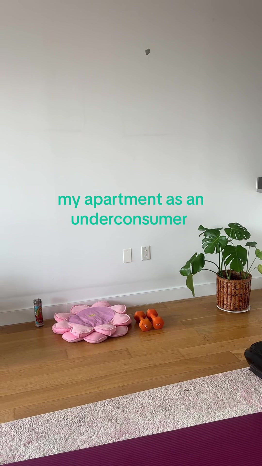 @sasha