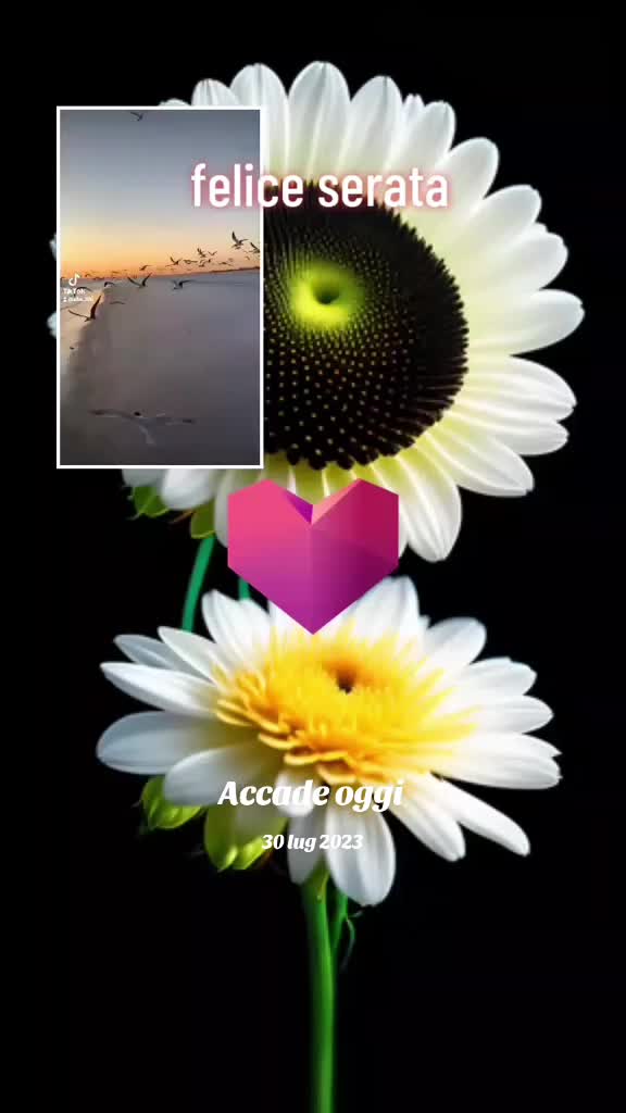 @prof. Angelo Milano☮️💯💗