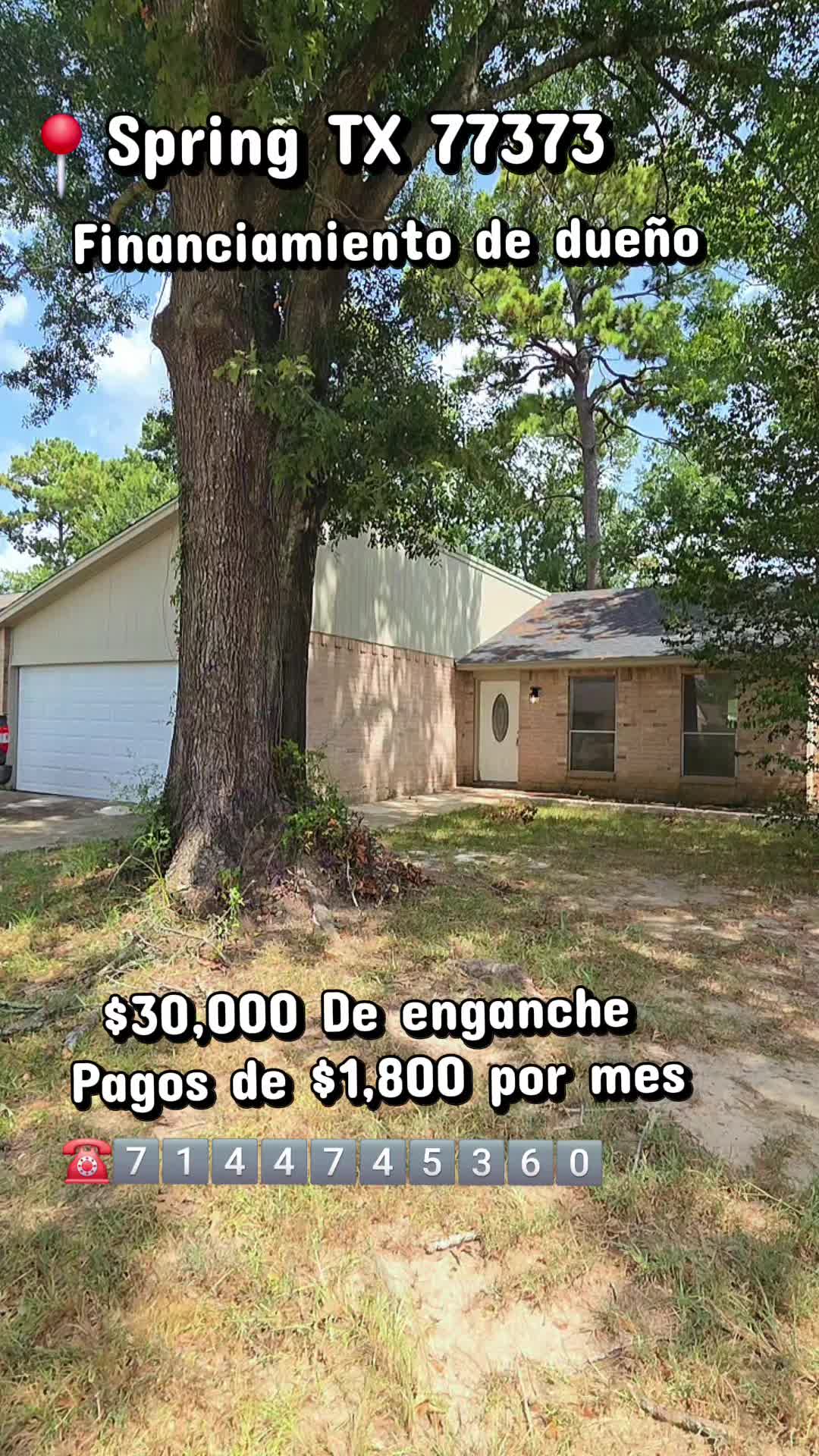 @Frank Flores