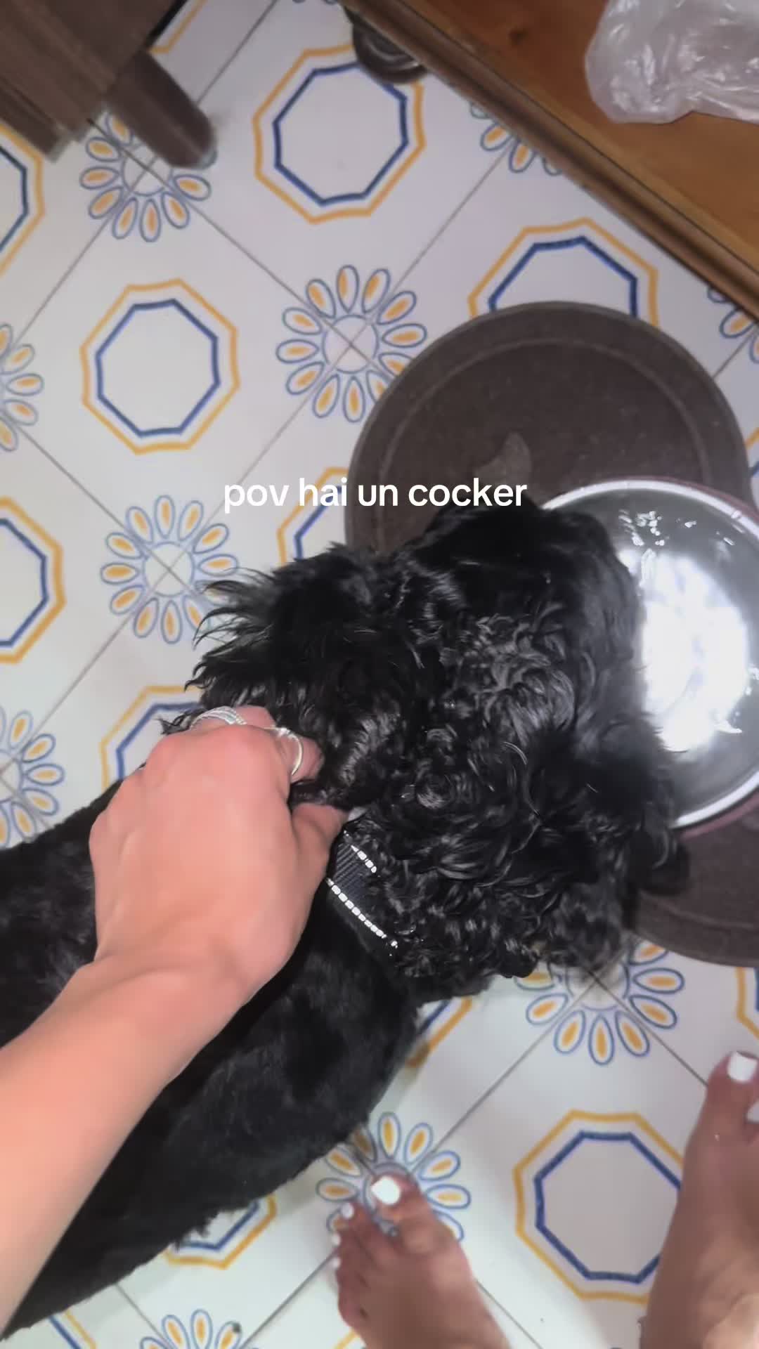 @carol🐇