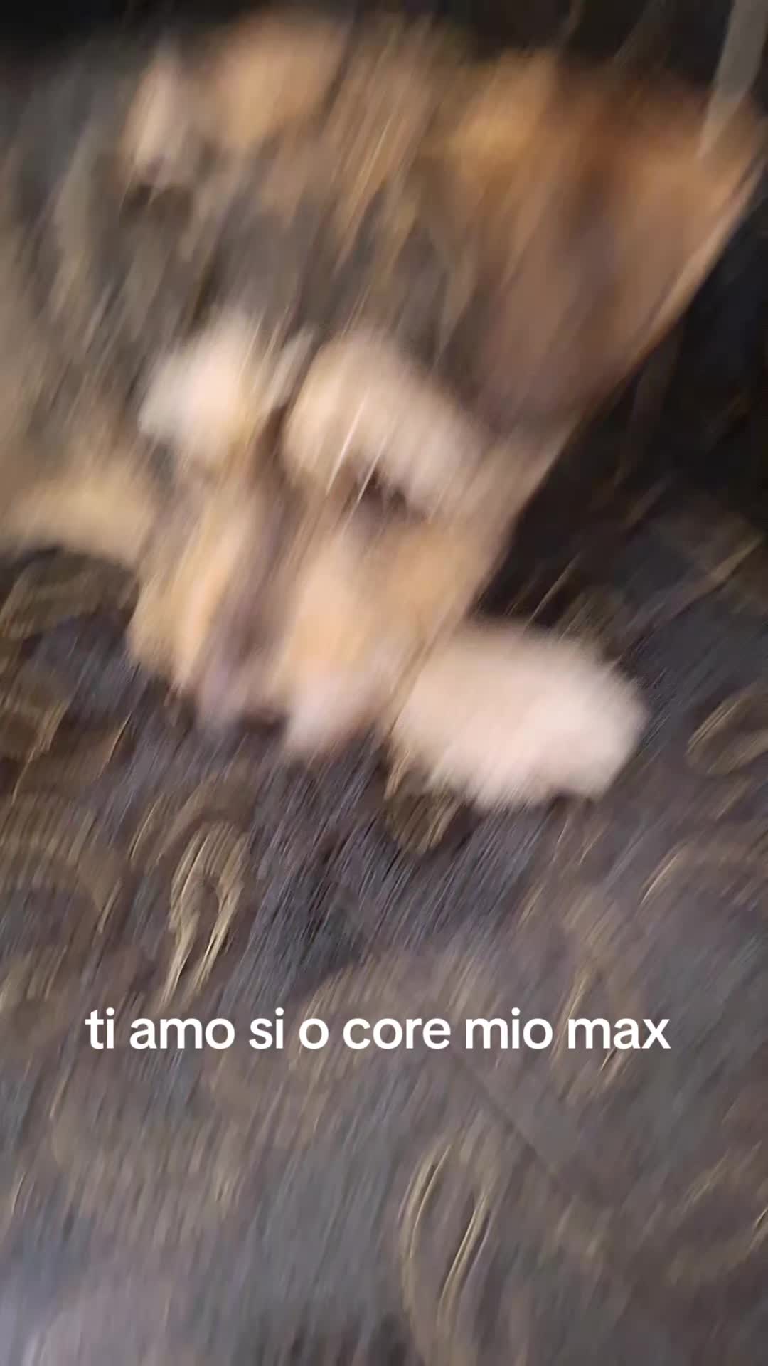 @Flora Canale