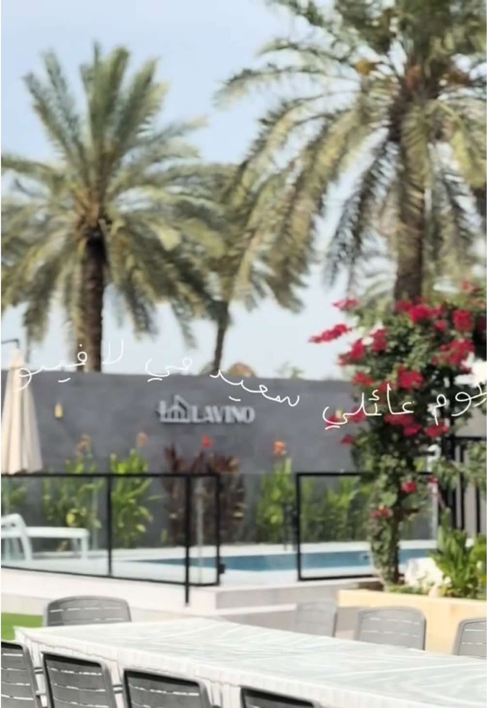 @حور في امريكا