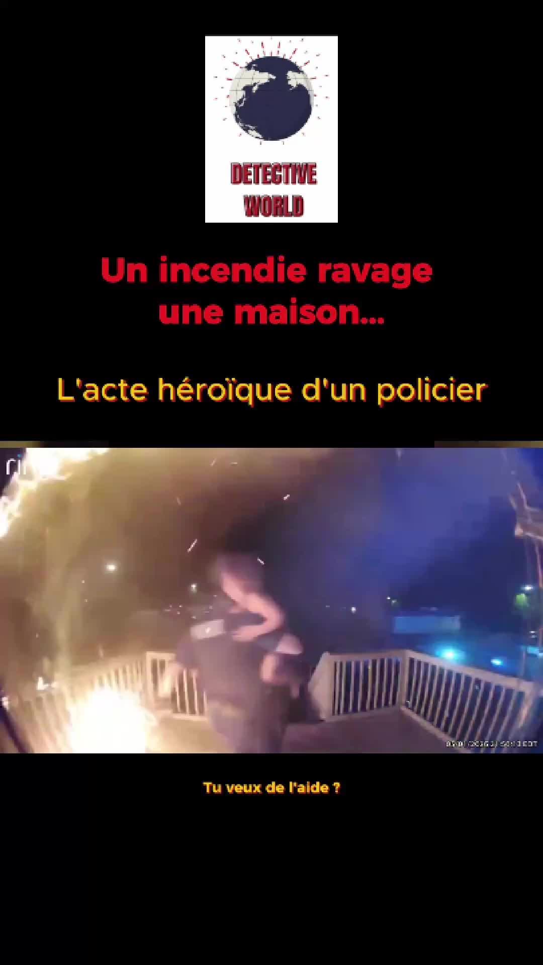@lenouveaudetective