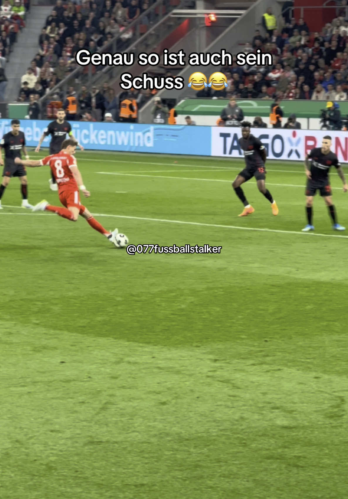 @077FussballStalker