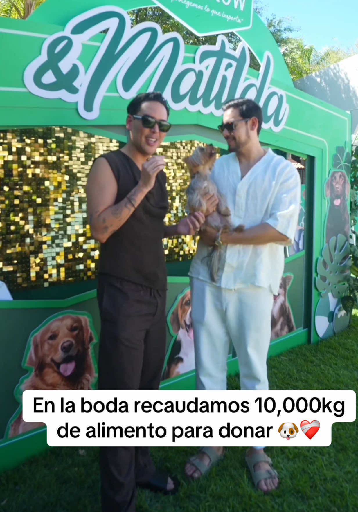 @Un Tal Fredo