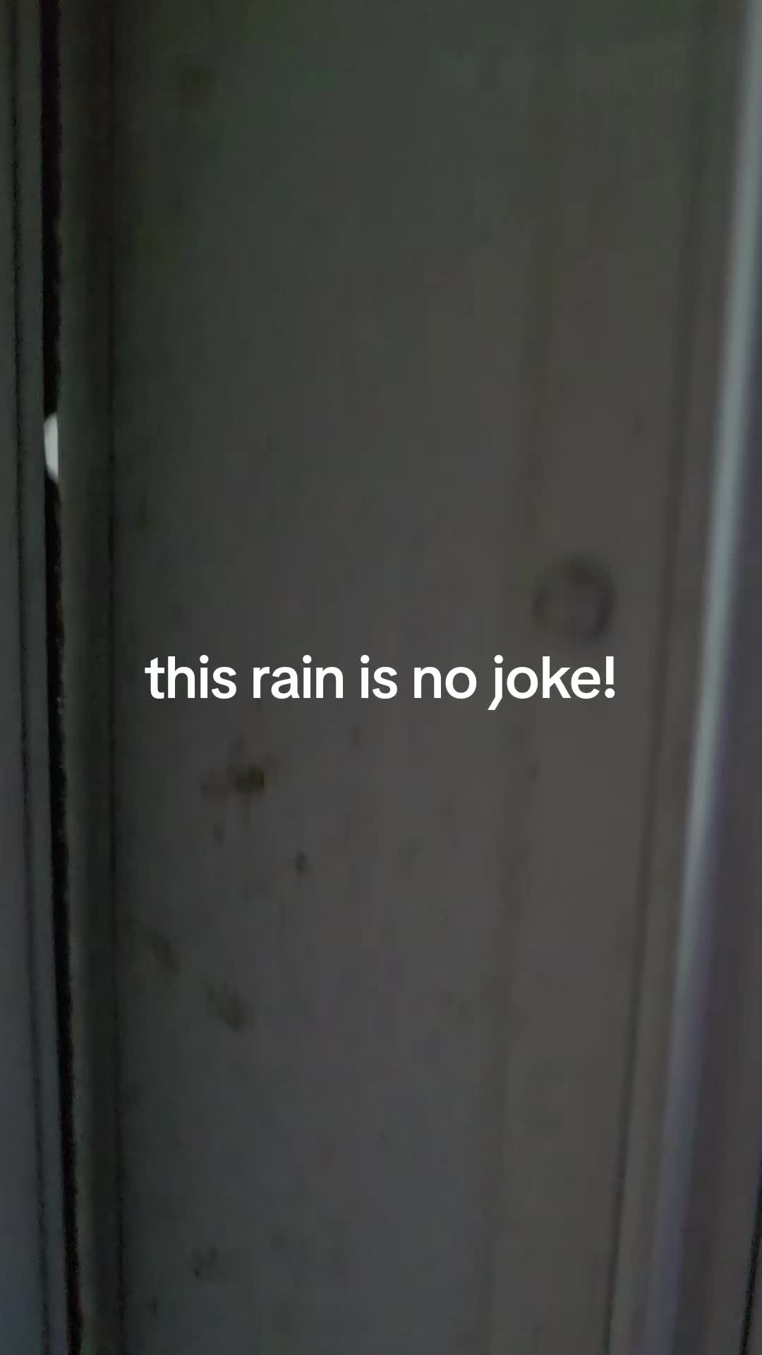 @frankwolftown