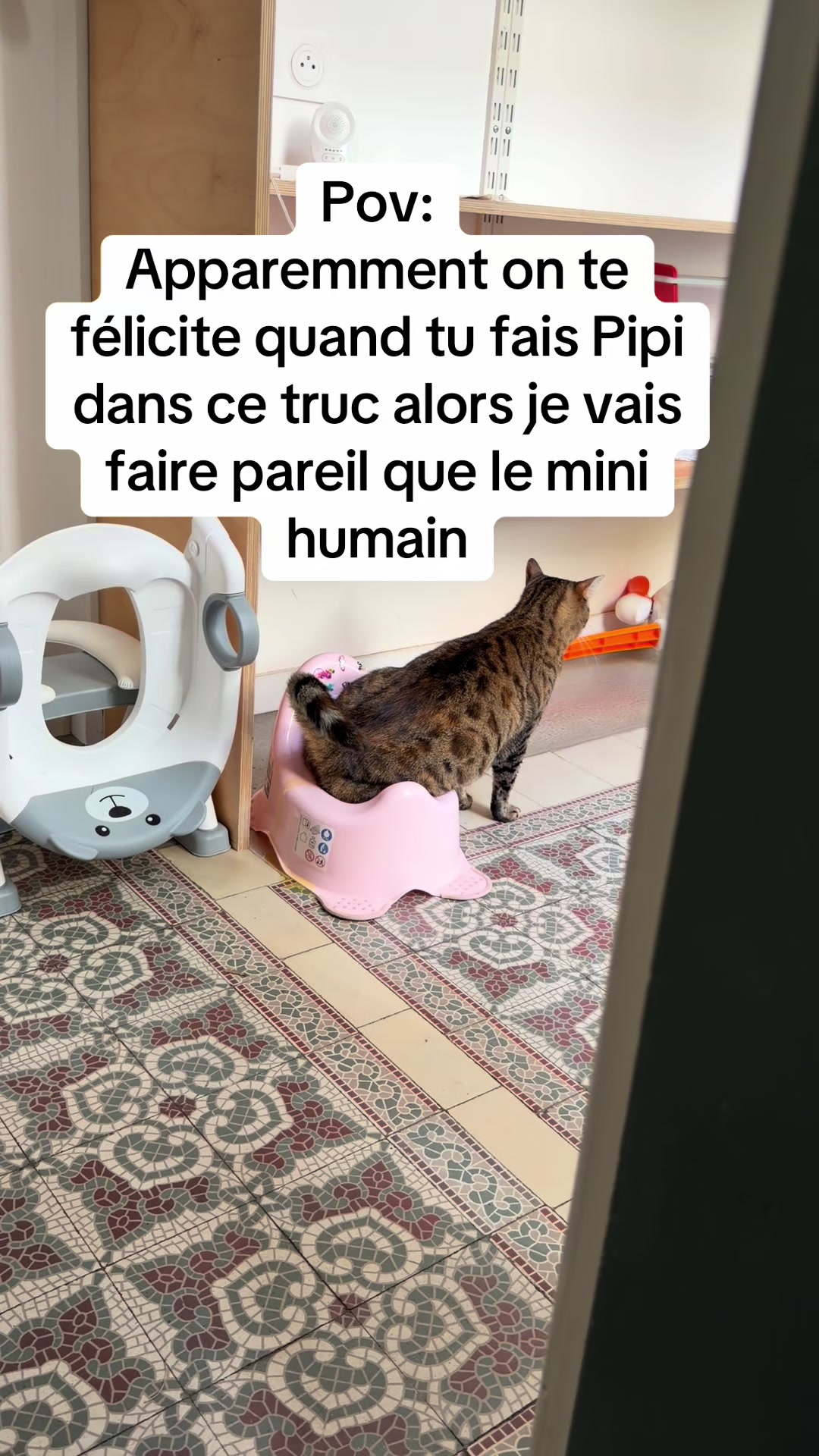 @Emeline Franque