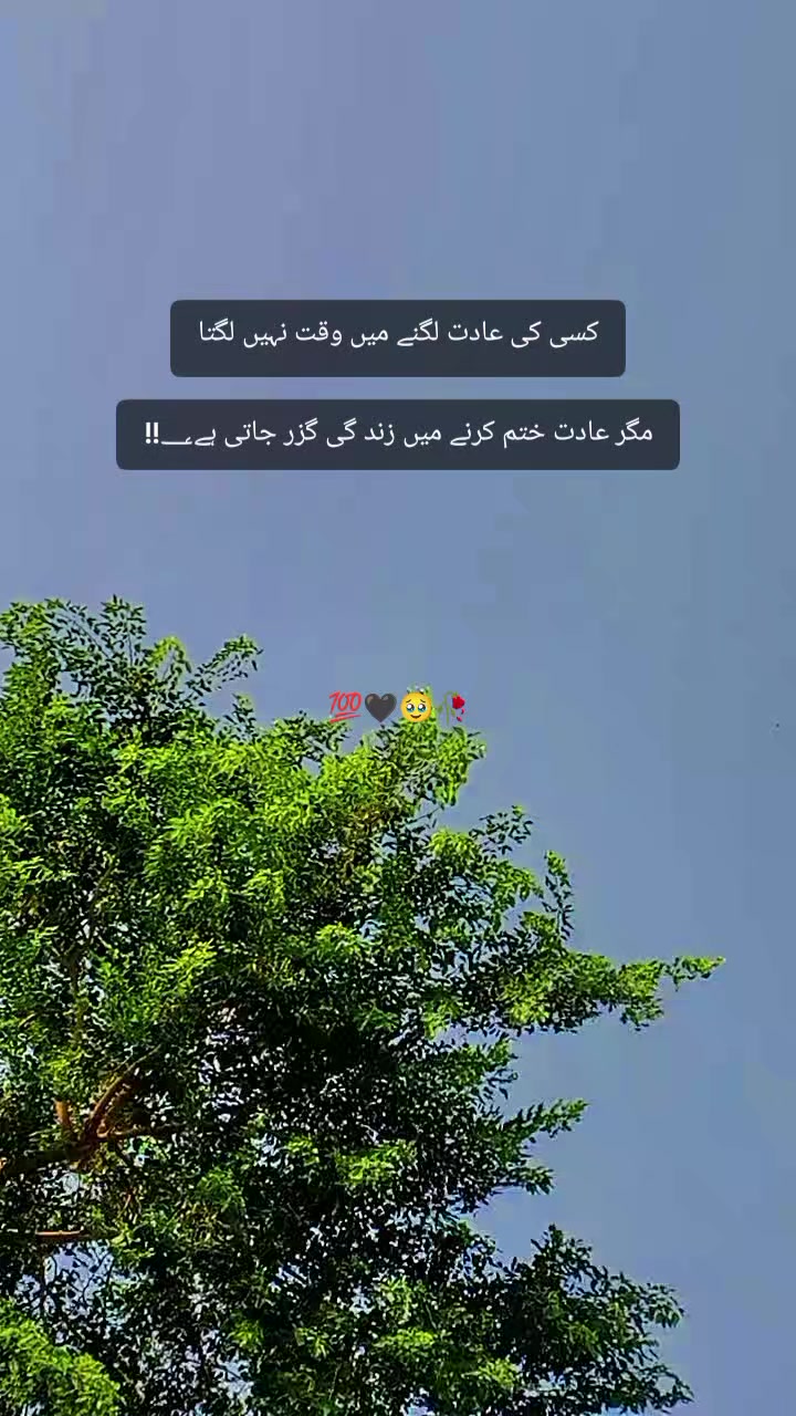 @𝙞𝙣𝙩ظ𝙖𝙧🦋👀