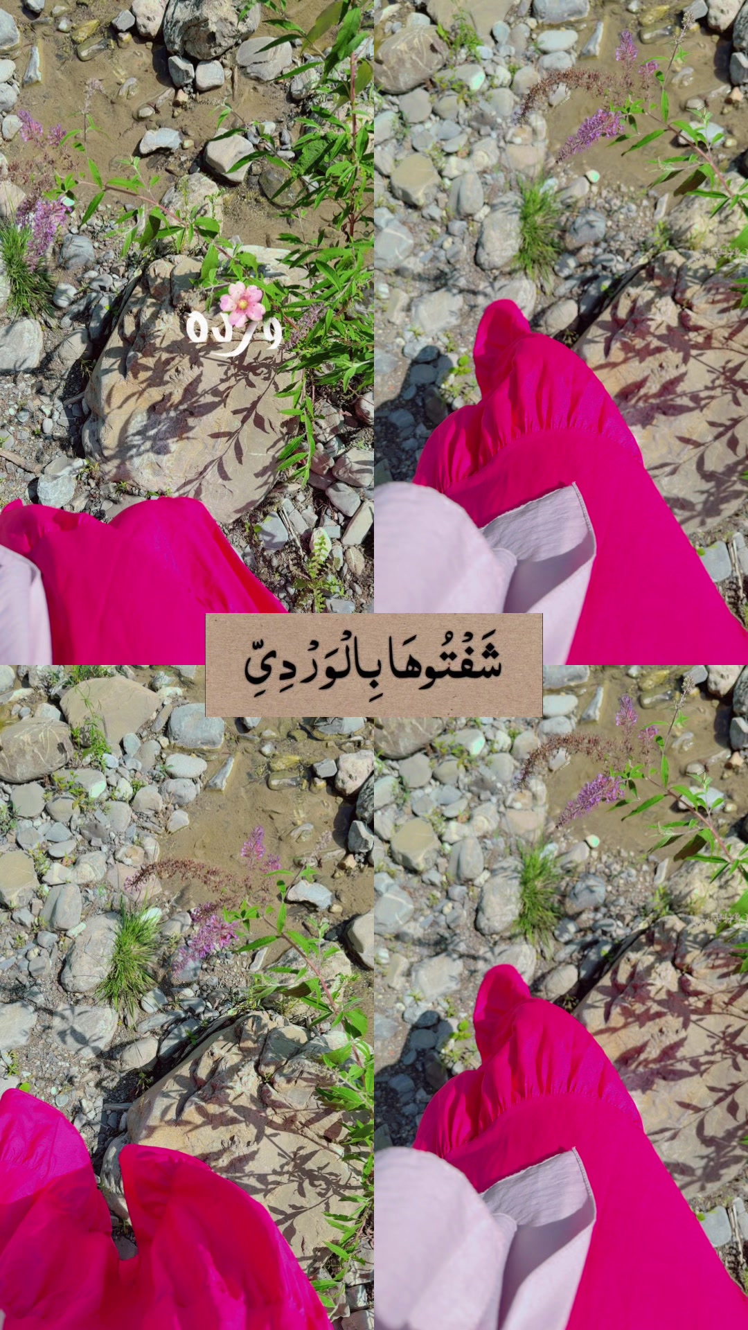 @⭐🧿🦋سنيوريتا أم اللول👑🦋