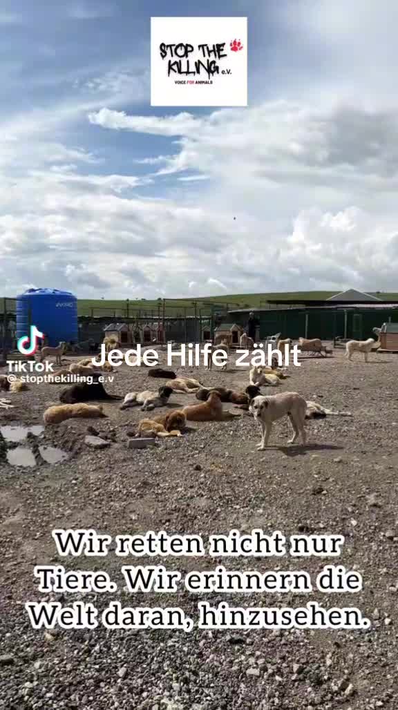 @🍁DieMiri♠️♥️Einfachtierschutz