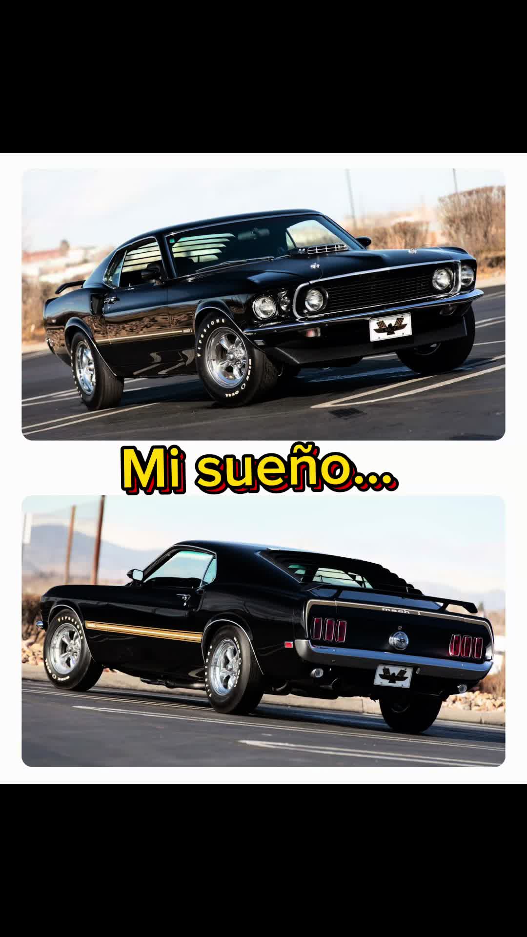 @El BI&Oacute;NICO