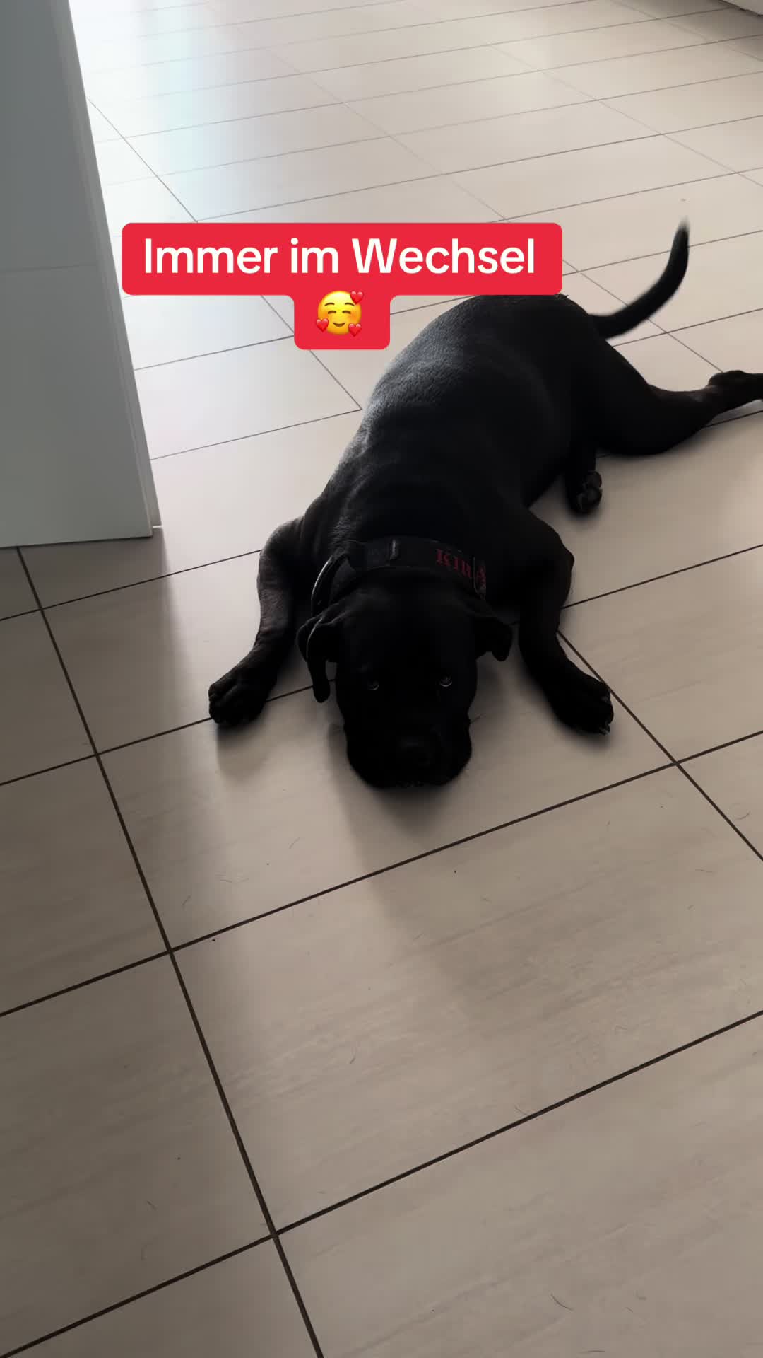 @Braunici