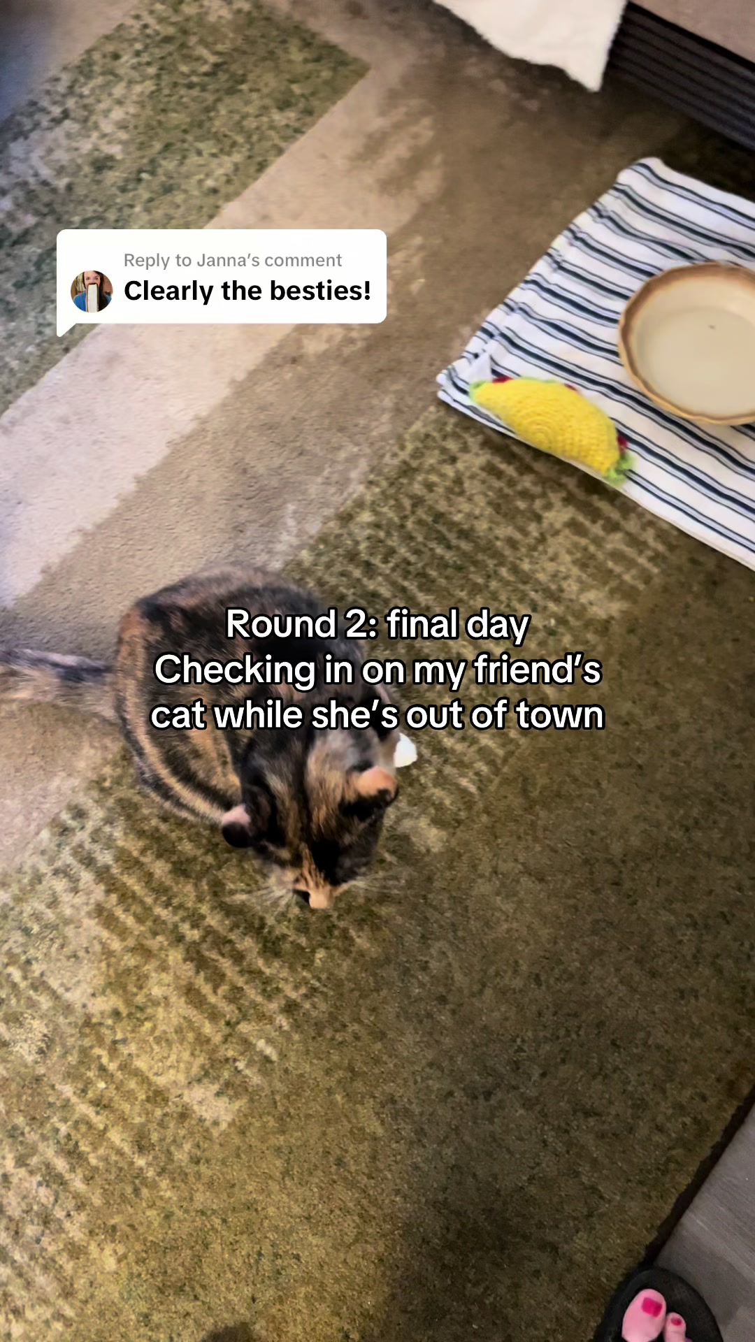 @Candice + Willow ♥️🐾