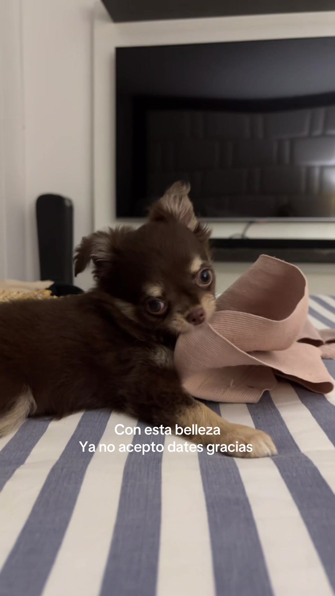 @Valeria Acosta Muñoz