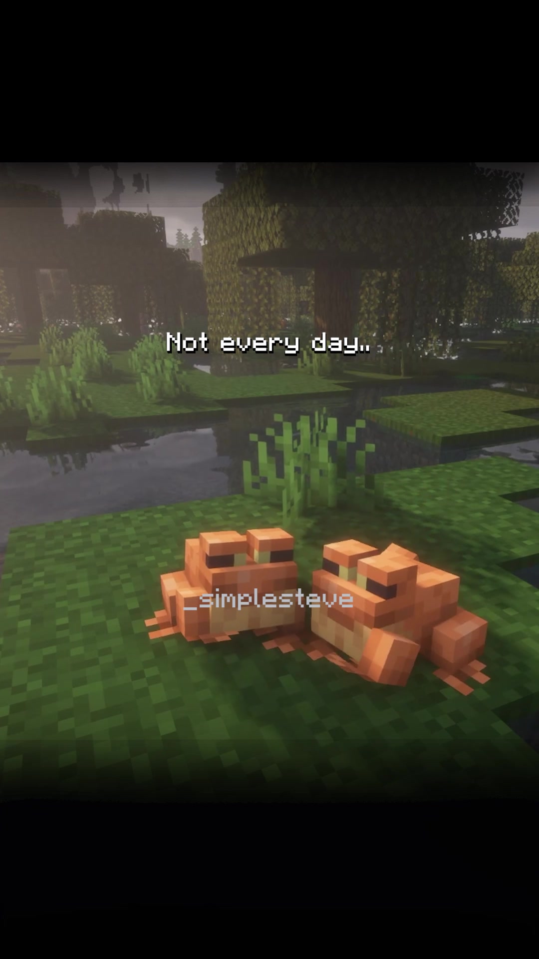 @_simplesteve